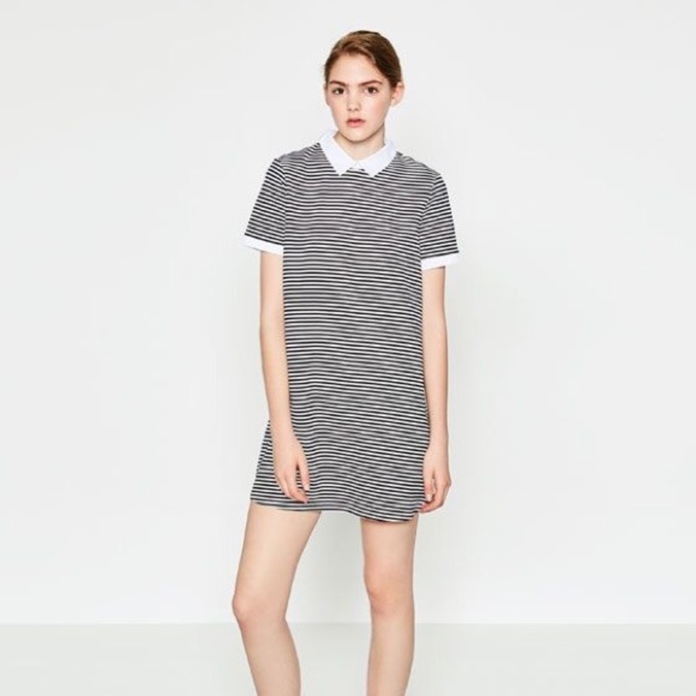 Zara Collar Dress - Black & While - Small